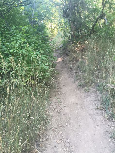 Hiking in Utah: Kyhv Peak Trail (Squaw Peak) – Running with Infertility