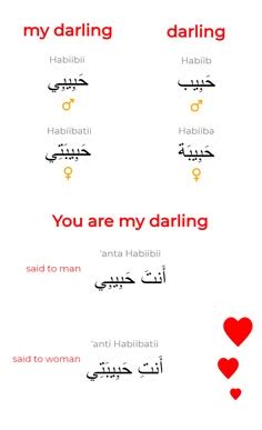 Learn Arabic Swear Words - List of Arabic Swear Words in 2020 | Learn ...