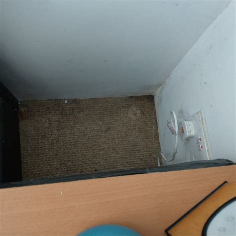 HONEY BUZZARD BARN (Falmouth, Cornwall) - Guesthouse Reviews & Photos ...