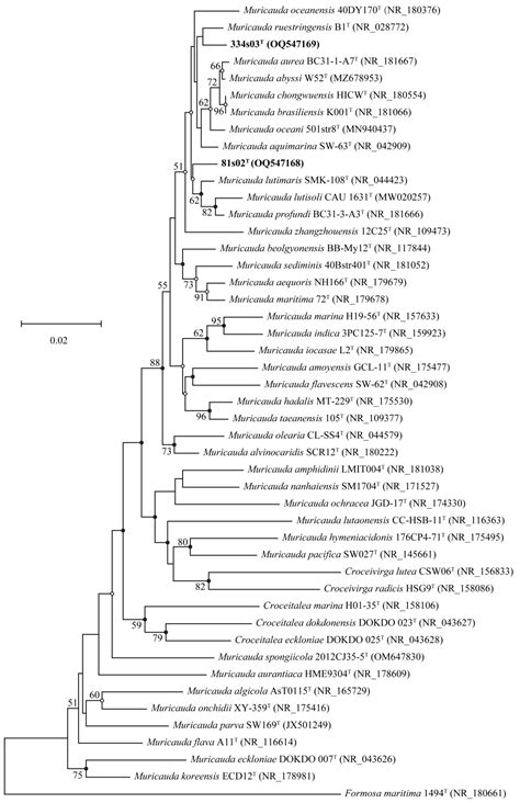 Muricauda okinawensis sp. Nov. and Muricauda yonaguniensis sp. Nov ...