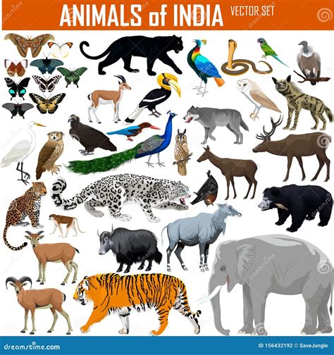 Indias Animals