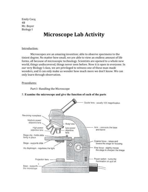 Microscope Lab Activity 的图像结果