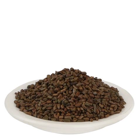 Beej Pawad - Cassia Tora Lin - Ringworm Plant - Yuvika Herbs Ayurveda