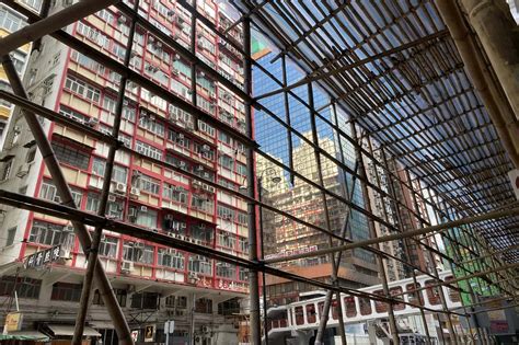 Bamboo: The Green Steel of the 21st Century - WhoWhatWhy