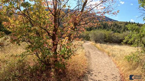 Bell Canyon Waterfall Hike - Granite Trailhead to Lower Falls, Utah