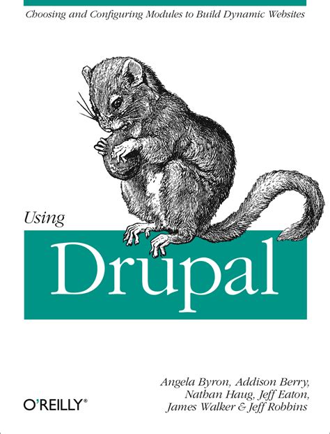 Image result for Using Drupal