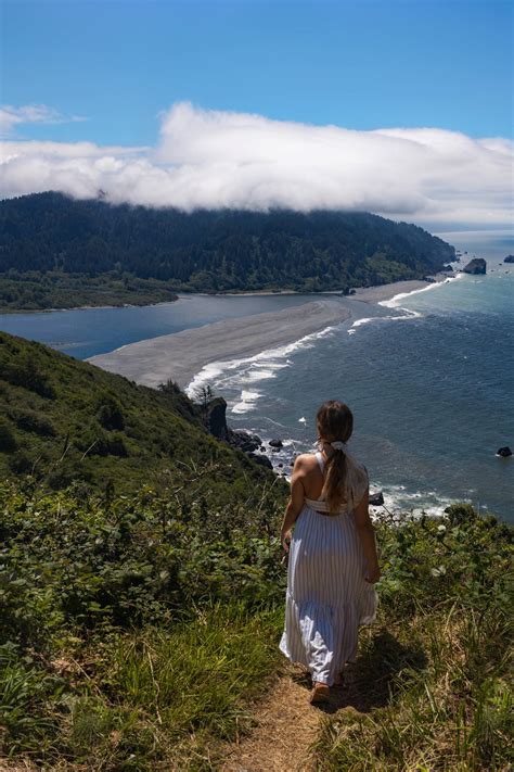 Best Redwood Forests in California - Asya Olson Travel Photography