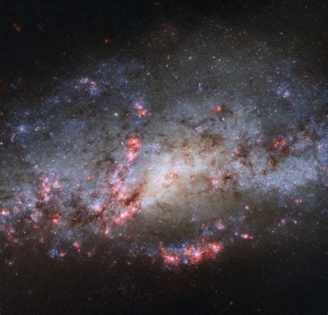 Hubble Captures Breathtaking View of the “Fireworks Galaxy”
