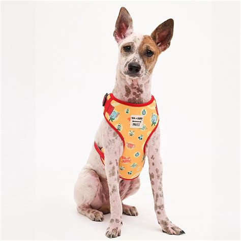 Tom and Jerry X Mutt of Course - Cheese Dog Harness | Neck - 16" (M ...