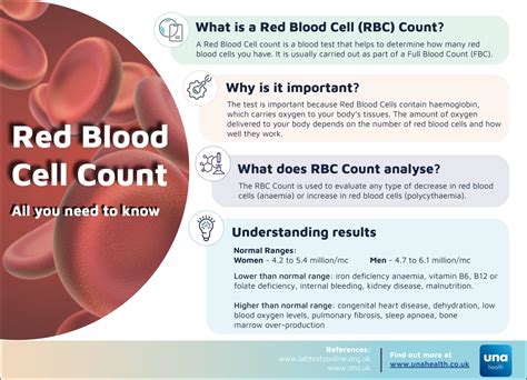 Red Blood Cell Count - all you need to know - Una Health