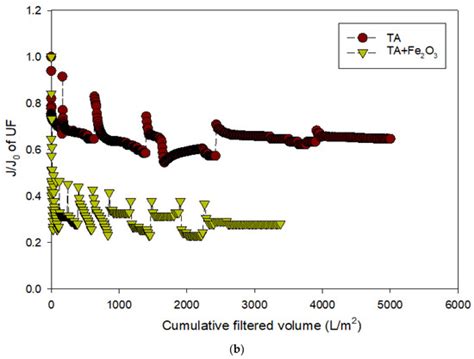 Effects of Chemical Cleaning on the Ageing of Polyvinylidene Fluoride ...