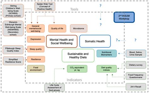 Identifying Future Study Designs for Mental Health and Social Wellbeing ...