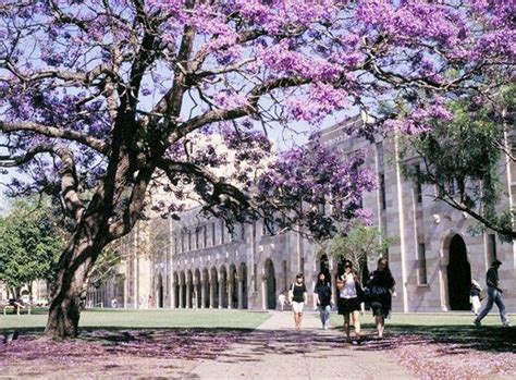最全澳洲留学读研费用清单 - 知乎