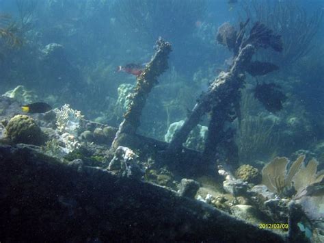 Bottoms Up Snorkeling (Islamorada) - 2022 What to Know Before You Go ...