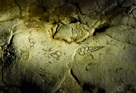 Arwah Cave in Meghalaya: How to reach, Best time, Travel tips