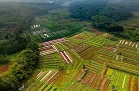 Land Scarcity: Free classifieds in India, Buy and Sell for free ...