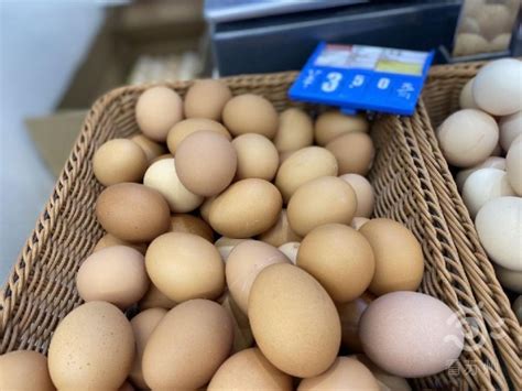 苏州市场上鸡蛋价格下跌，背后原因是……-名城苏州新闻中心
