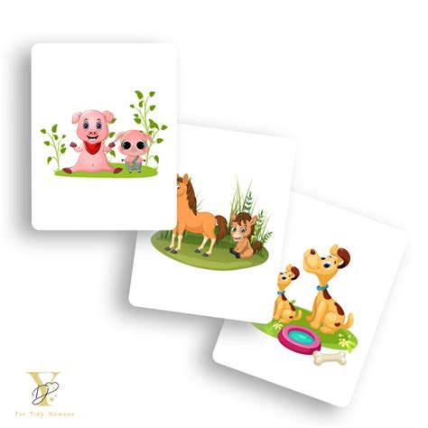Boost Your Baby’s Brain Development with Doodle’s Flash Cards ...