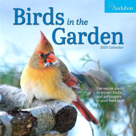 Buy Audubon Birds in the Garden Wall Calendar 2023: Use Native Plants ...