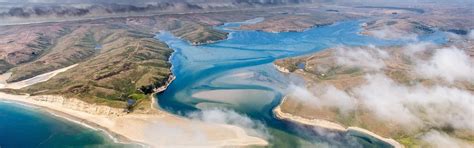 Sea Level 的图像结果