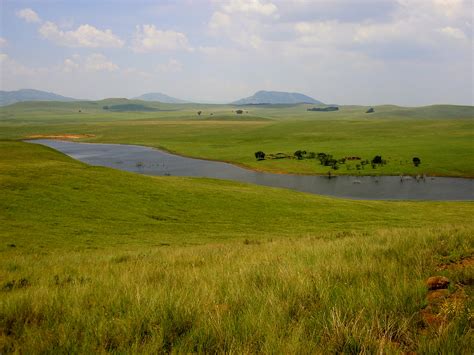 Show your support for the Free State's Grasslands | WWF South Africa
