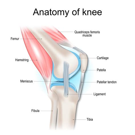 Patellar Tendonitis Treatment in South Texas: How Shockwave Therapy Heals Jumper's Knee – Spine ...