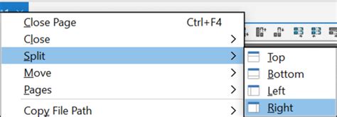Image result for Delphi Duplicate a Build Configuration