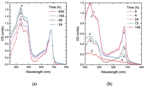 Failure of Micractinium simplicissimum Phosphate Resilience upon Abrupt ...