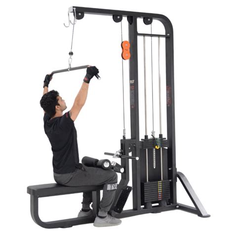 Lat Pulldown/Seated Rowing (Alpha) — MSFFIT