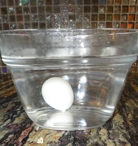 Egg Float Test Explained: How to Check Egg Freshness Properly