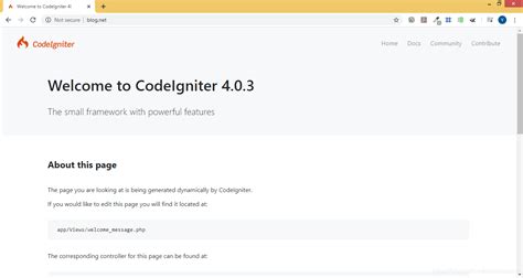 Working with CodeIgniter 的图像结果