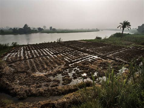 The Nile River Flooding