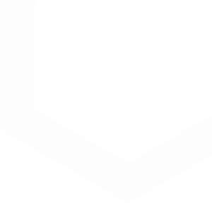 White Label Web Development Services for U.S. Agencies | Xovak Studio ...