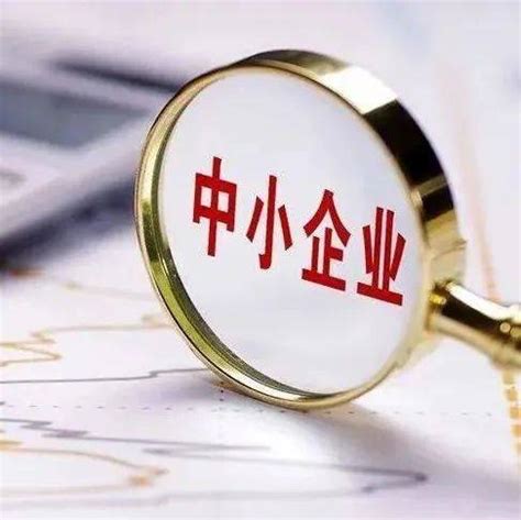 青海省中小企业服务应用（项目管理）系统