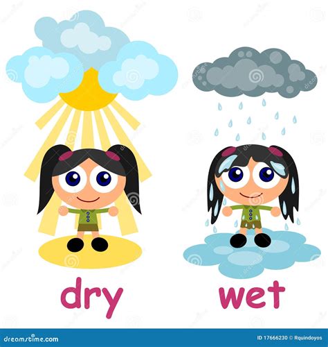 Wet Vs. Dry: What’S The Difference? – RIKW