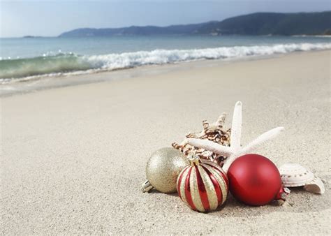 christmas pictures at the beach