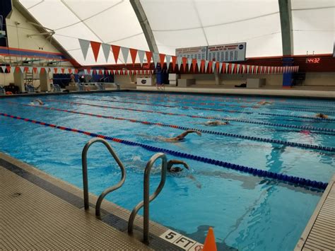 Florida Gators Swimming 的图像结果