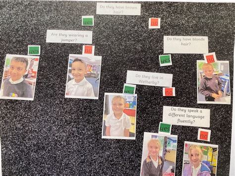 Classification Key for Kids 的图像结果