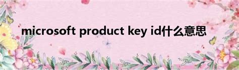 microsoft product key id什么意思_51房产网