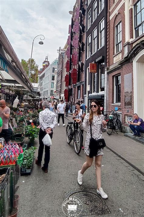 Flower Market Plan 的图像结果