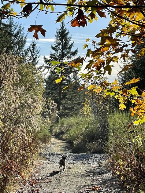 Image result for Random Walk Beautiful