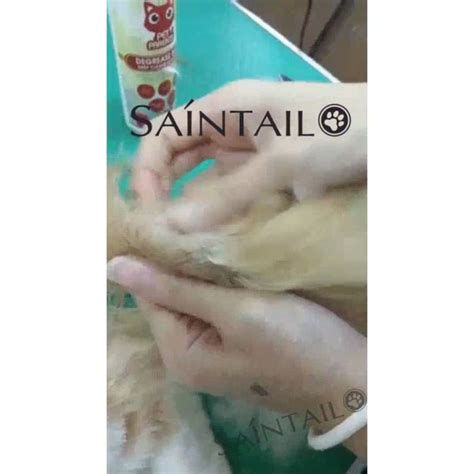 Image result for How to Degrease Bath