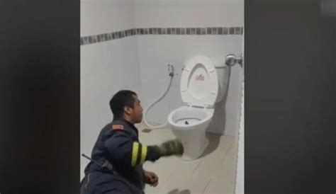毛骨悚然！泰国男子如厕发现马桶内有条蛇_新闻频道_央视网(cctv.com)
