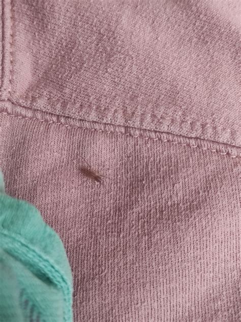 Is this an albino spider? I could see a strand of the web if I turned ...