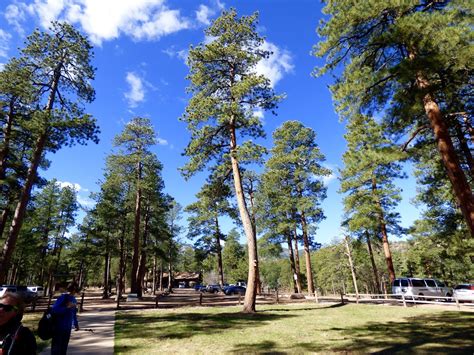 Otowi: Pueblo Mountain Park 4/2/16