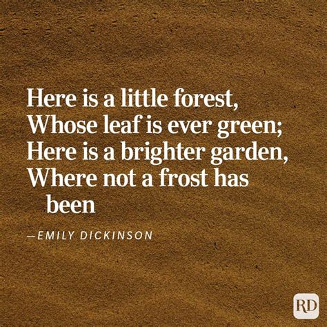 Nature Poems 的图像结果