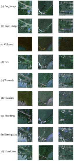 DisasterGAN: Generative Adversarial Networks for Remote Sensing ...