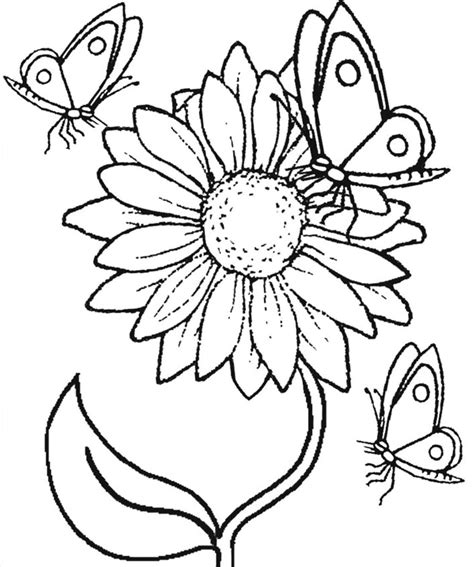 Sunflower coloring pages | 100 Free coloring pages