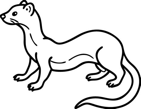 Weasel Outline Illustration for Wildlife Education and Design 53335183 ...