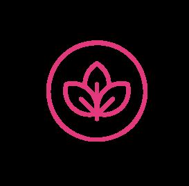 Infection and Allergies